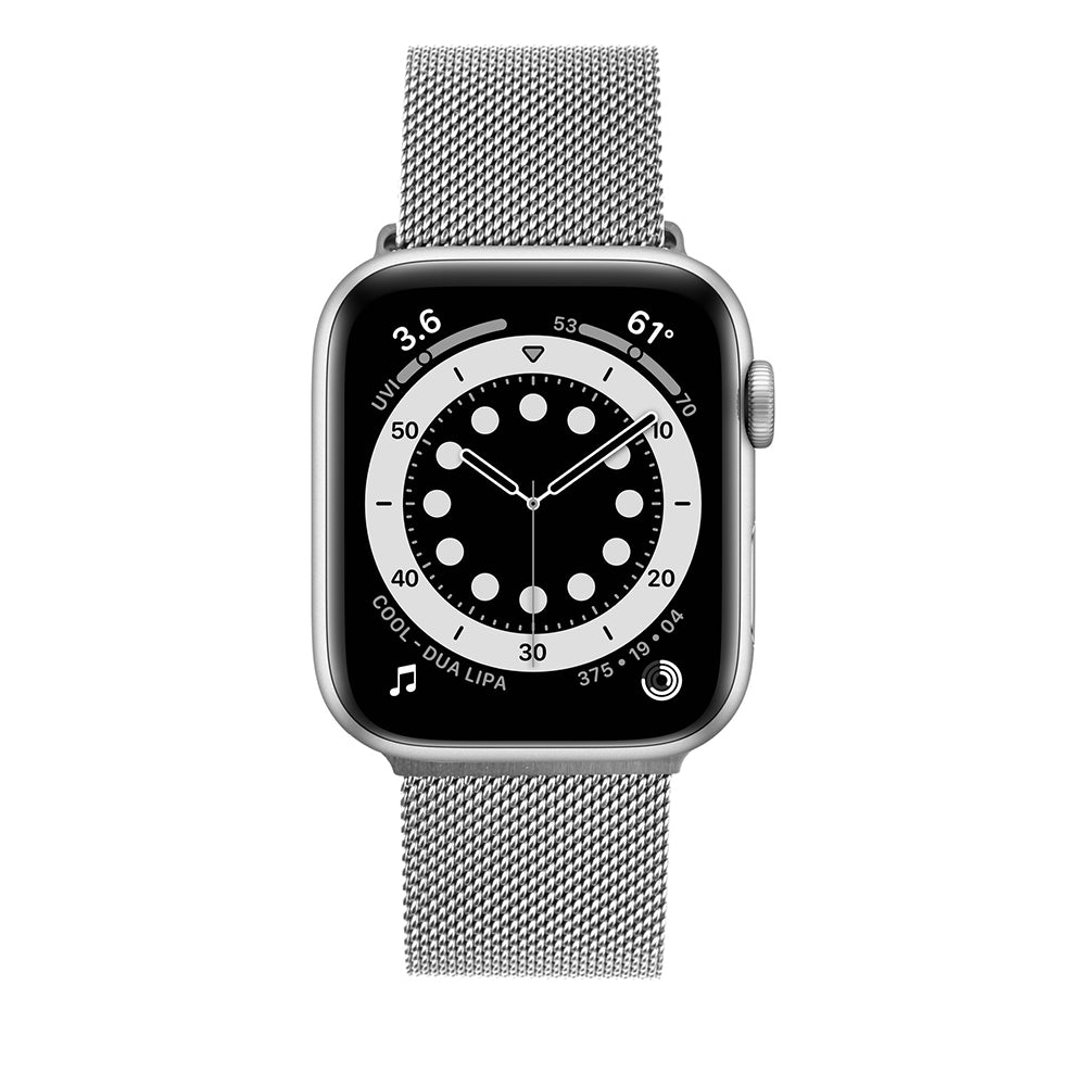 Bracelet Fixed Mesh pour Apple Watch 42mm / 41mm / 40mm / 38mm Series, Argenté