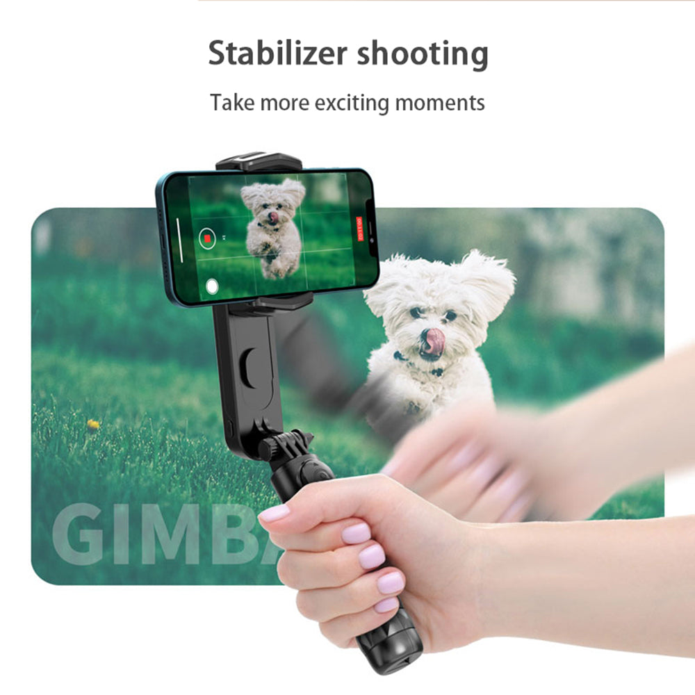 Selfie Stick Bluetooth Techsuit Q09, Universeel, Zwart