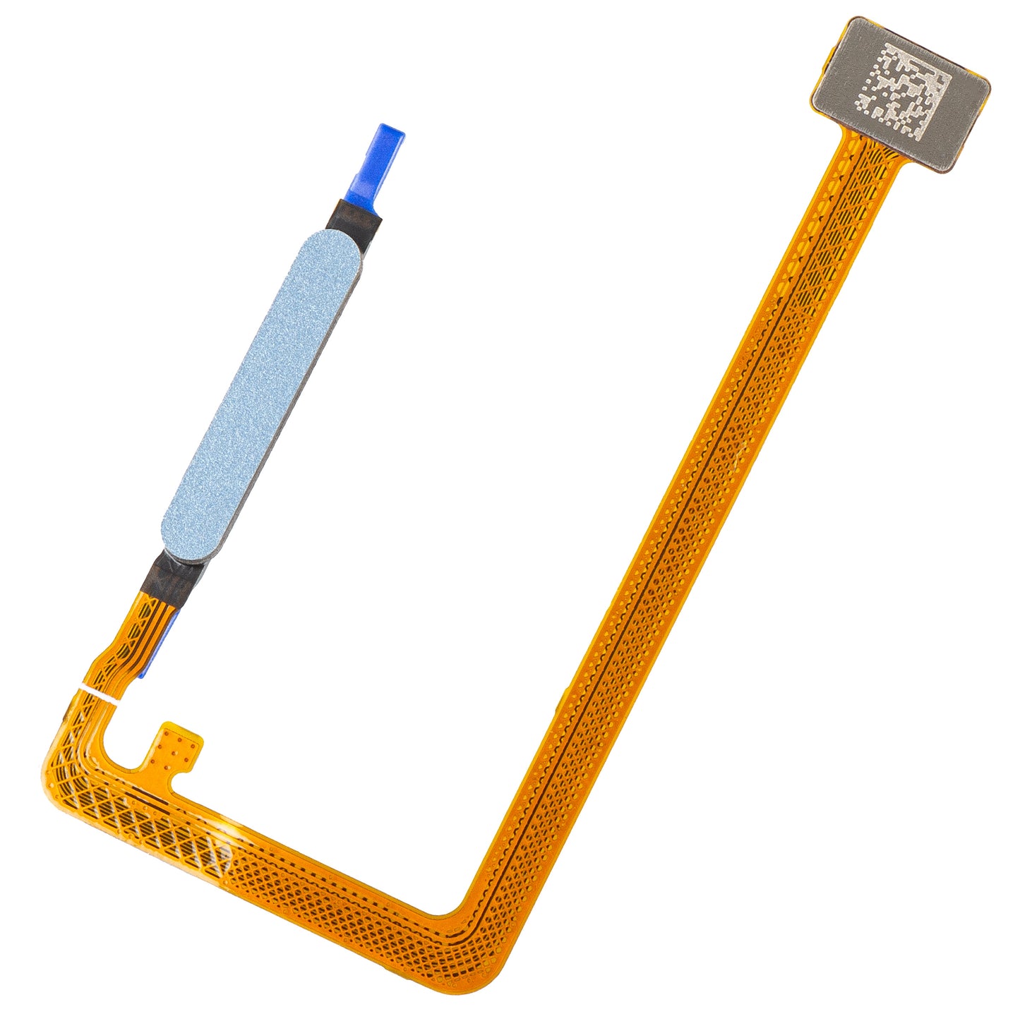 Capteur d'empreinte Honor X5c Plus, avec bande, Bleu, Service Pack 9707ACFH