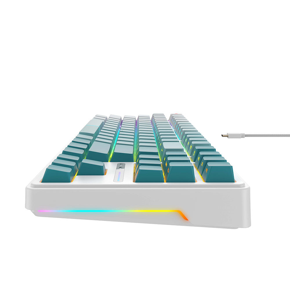 Gaming Toetsenbord Wired USB HAVIT KB901L, RGB, 1.8m, Wit Groen