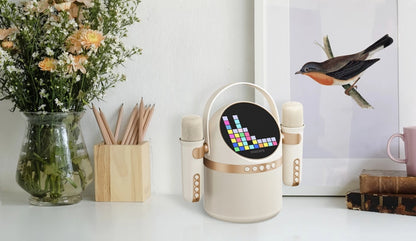 Draagbare Bluetooth Speaker Philips, 10W, Karaoke, Beige TAS2509WT/00