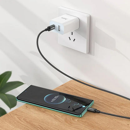Câble de Données et de Charge USB-C - USB-C HOCO X89, 60W, 2m, Noir