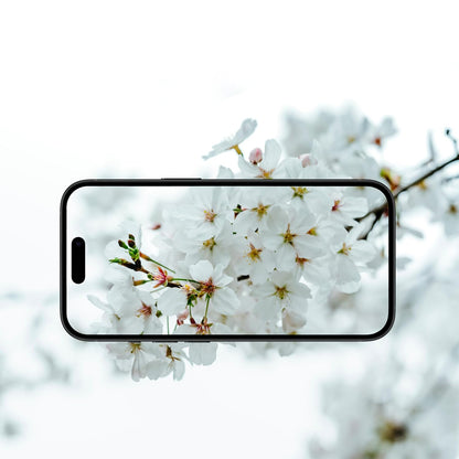 Beschermfolie Anank AR voor de achtercamera van Apple iPhone 17 Air, Gehard Glas, Meerkleurig