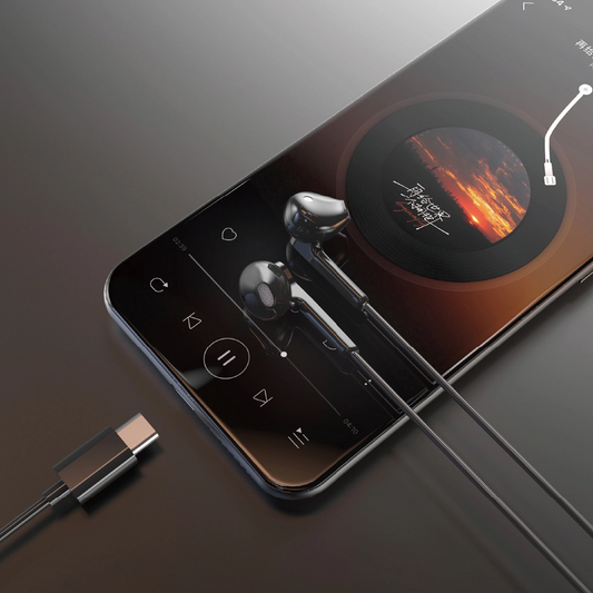 Écouteurs USB-C Dudao X3C, Noir