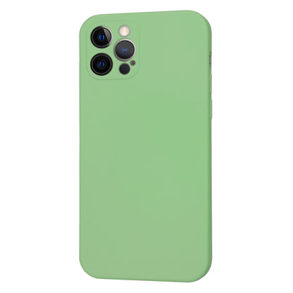 Coque MagSafe pour Apple iPhone 12 Pro, Techsuit, SoftFlex, Vert Clair