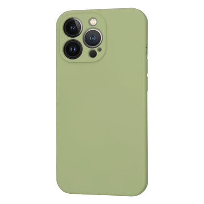 MagSafe-hoes voor Apple iPhone 13 Pro, Techsuit, SoftFlex, Matcha