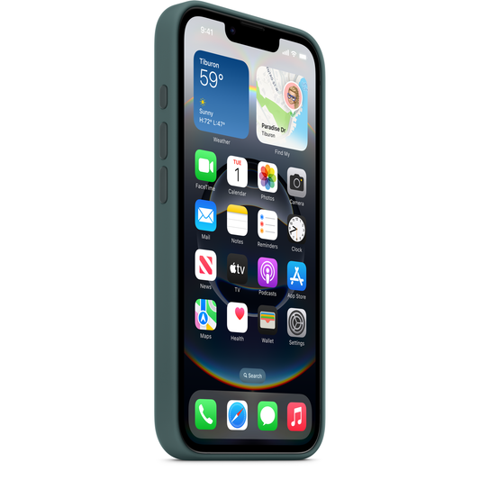 Hülle für Apple iPhone 16e, Grün MD3X4ZM/A