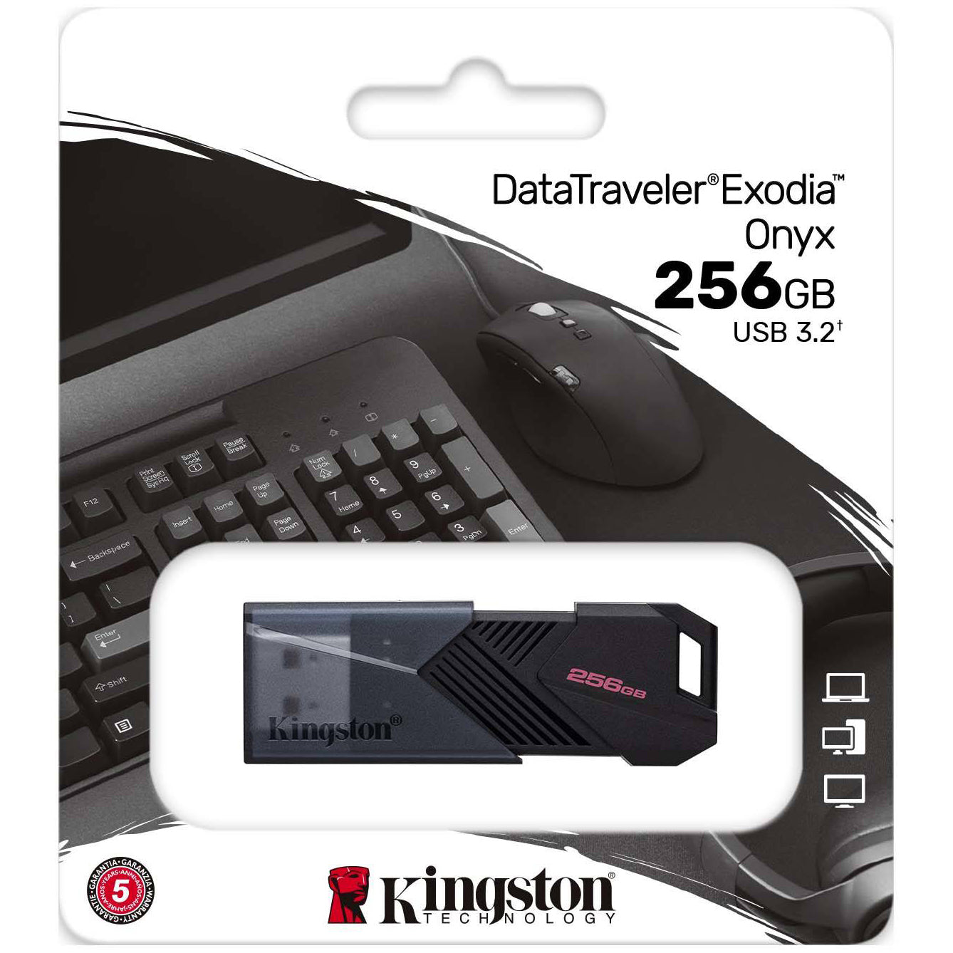 Extern geheugen Kingston Exodia Onyx USB-A 3.0, 256Gb DTXON/256GB 