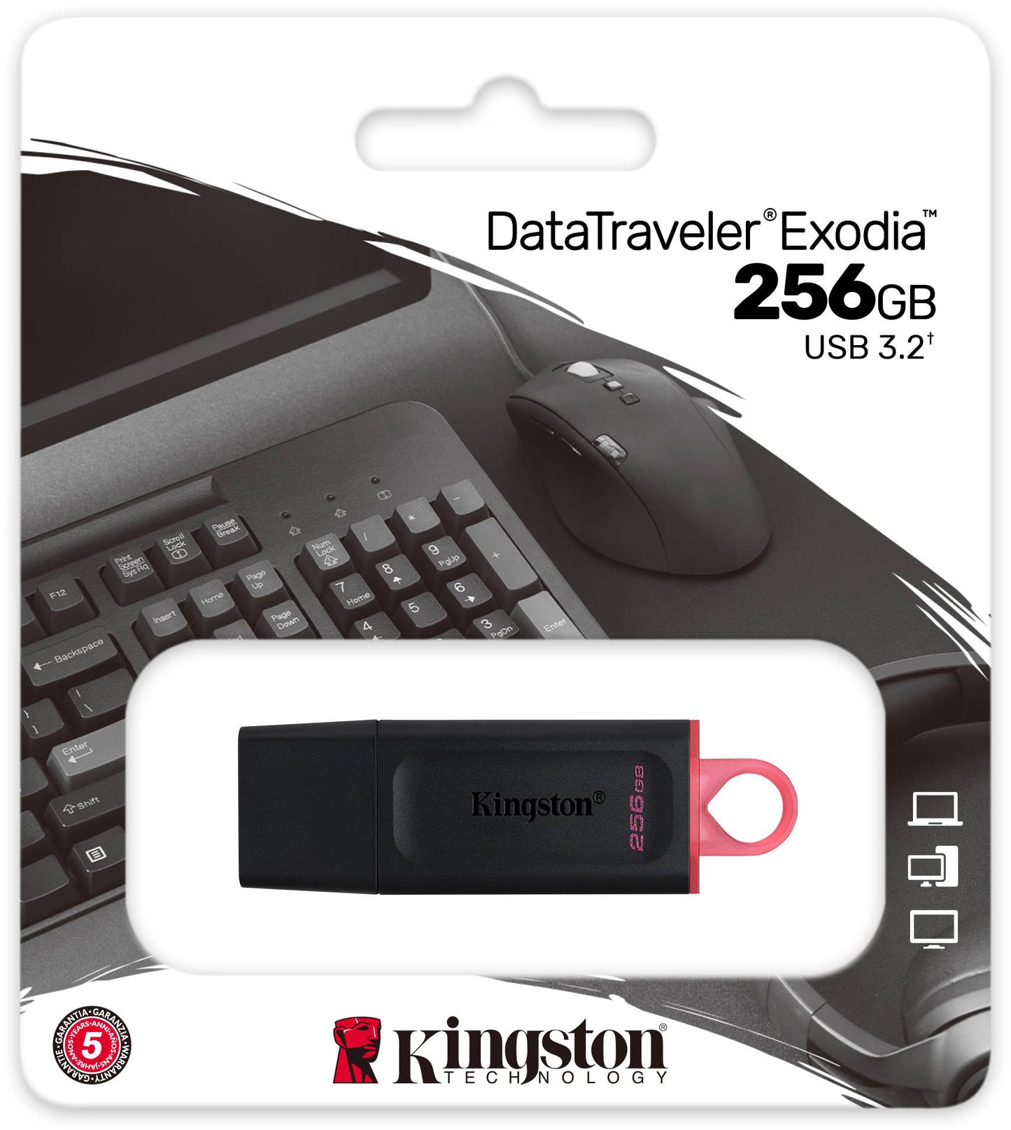 Externe USB-A 3.2 Kingston DT Exodia geheugen, 256Gb DTX/256GB