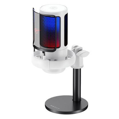 Cardioïde Microfoon HAVIT GK50, RGB, USB-C, 1.8m, Zwart