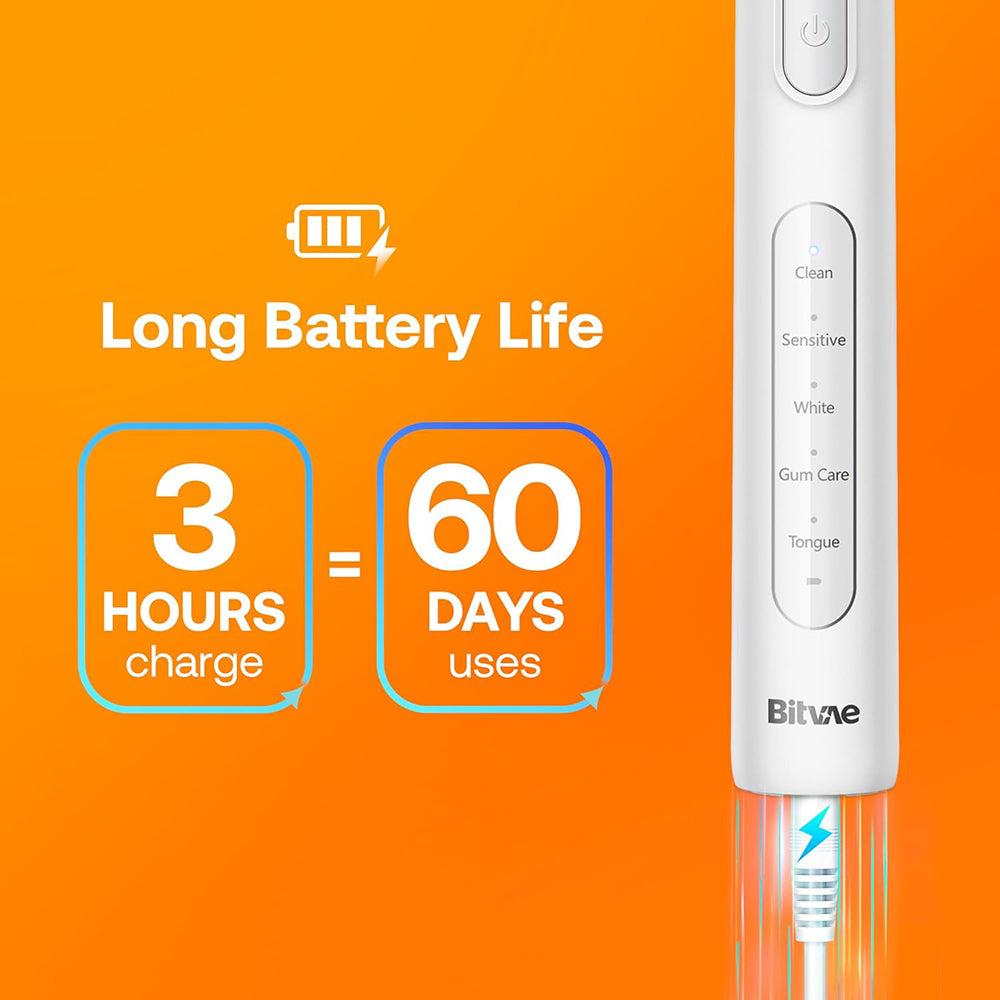 Bitvae R1 Electric Toothbrush, White