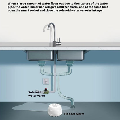 Capteur de détection de fuites d'eau OEM SQ500B, Wi-Fi