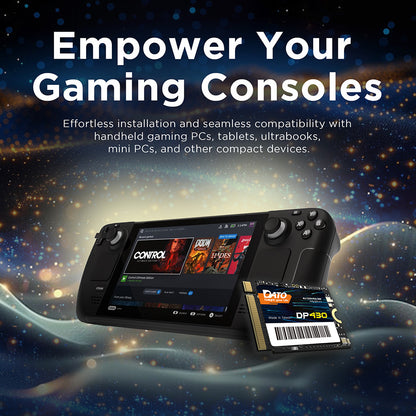 Solid State Drive (SSD) Dato DP430, NVME M.2 2230, PCIE Gen4x4, 1TB, Schwarz DP430SSD-1TB