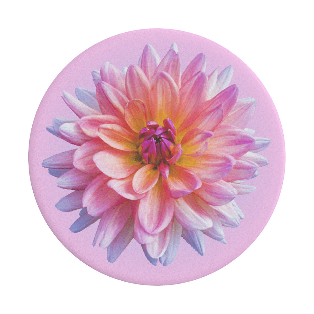 PopGrip Popsockets Dahlia Icon, Meerkleurig