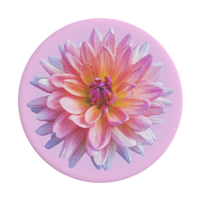 PopGrip Popsockets Dahlia Icon, Meerkleurig